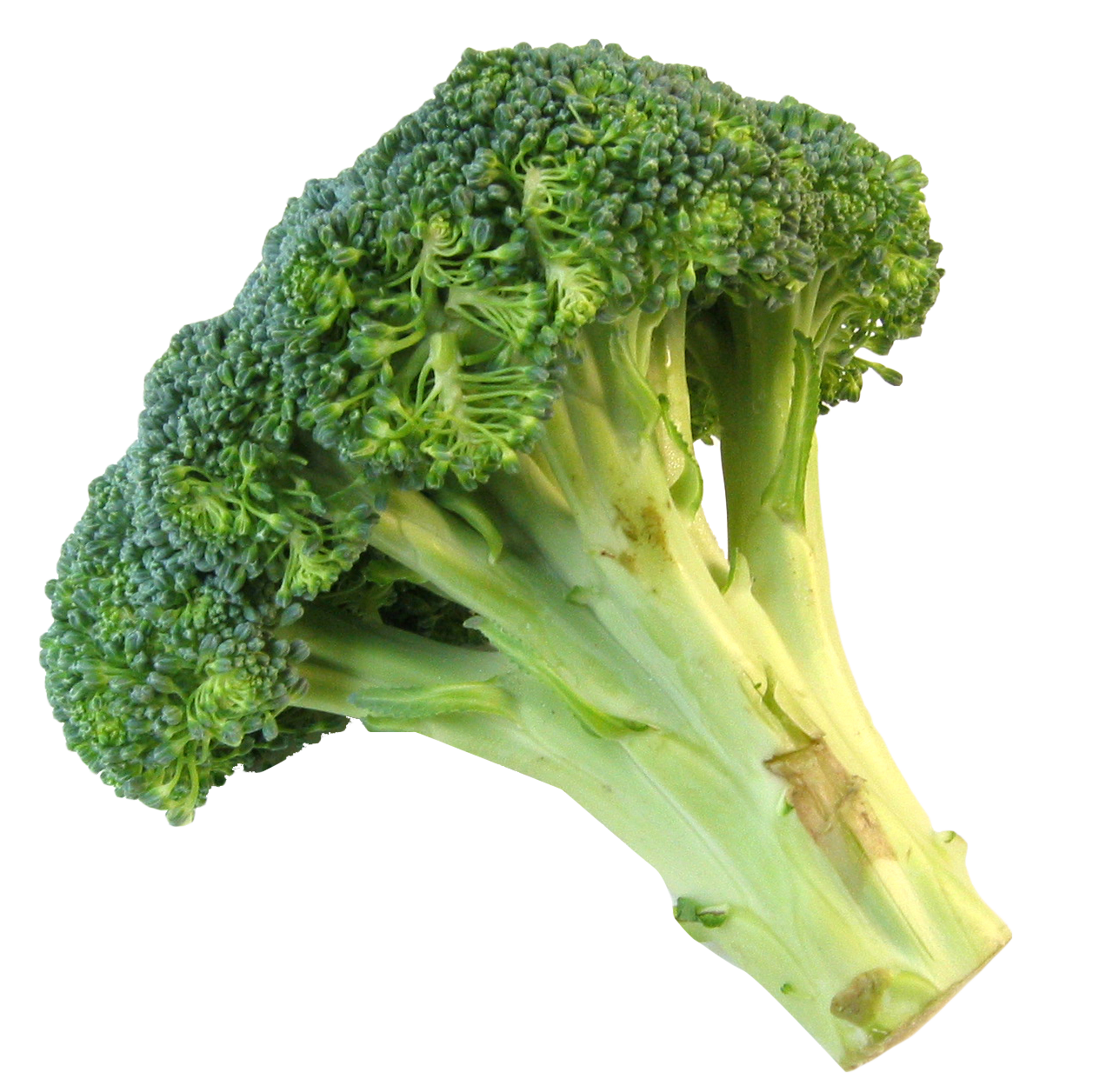 Broccoli decoration