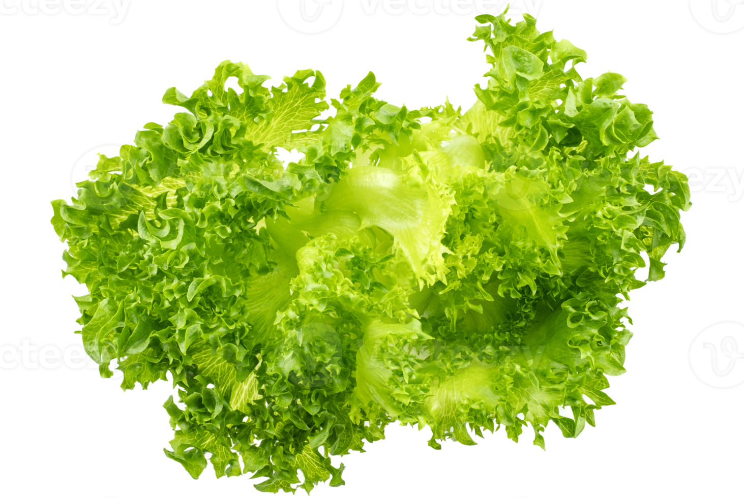 Lettuce decoration