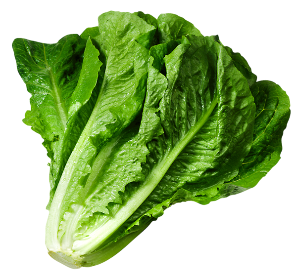 Lettuce decoration